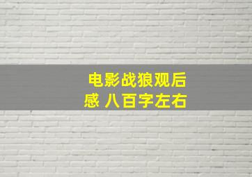 电影战狼观后感 八百字左右